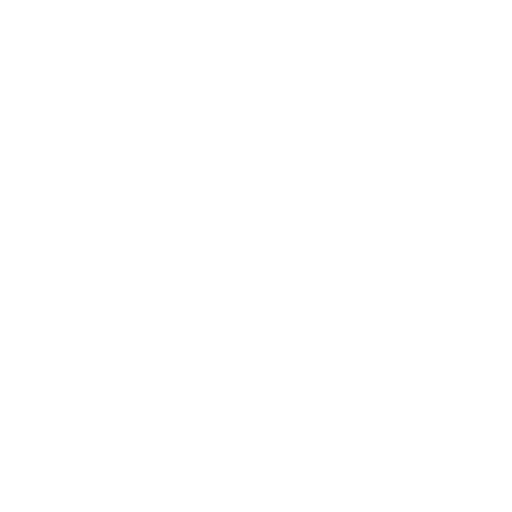 CDL Passenger Vehicles
