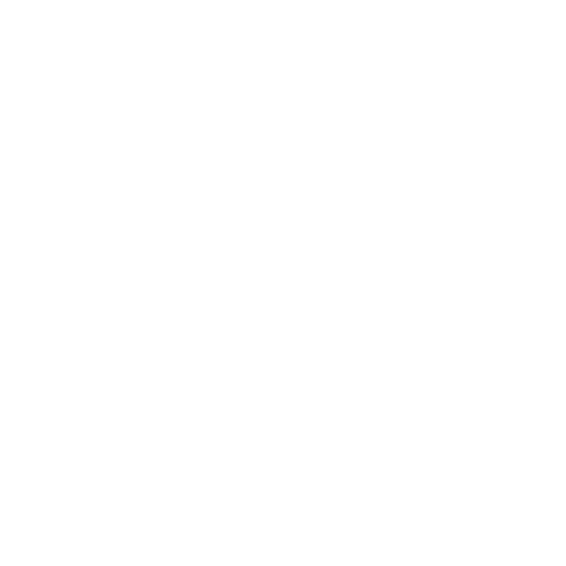 CDL School Bus