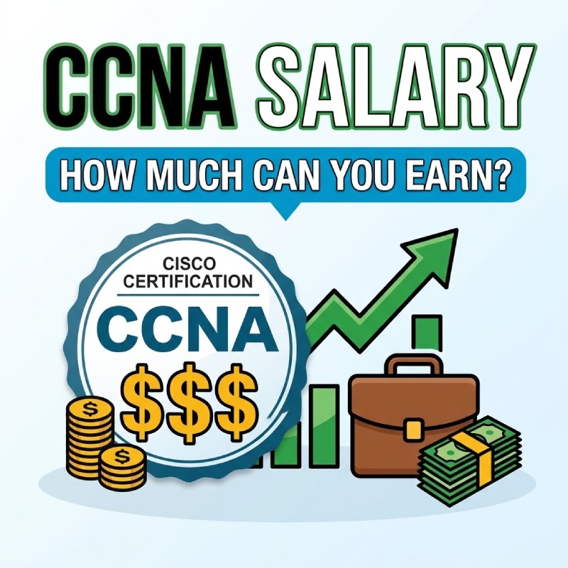 Cover image for CCNA Salary Guide: How Much Can You Really Earn? Cover image for blog post: CCNA Salary Guide: How Much Can You Really Earn? - Tina Tran