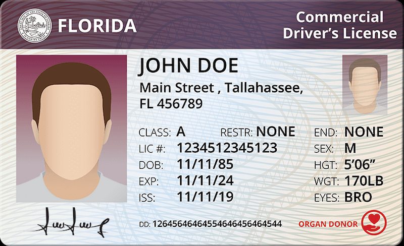 CDL license processing time