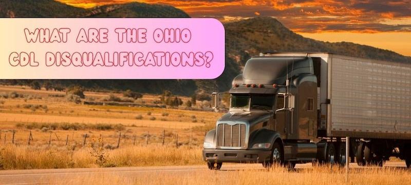 What are the Ohio CDL disqualifications?