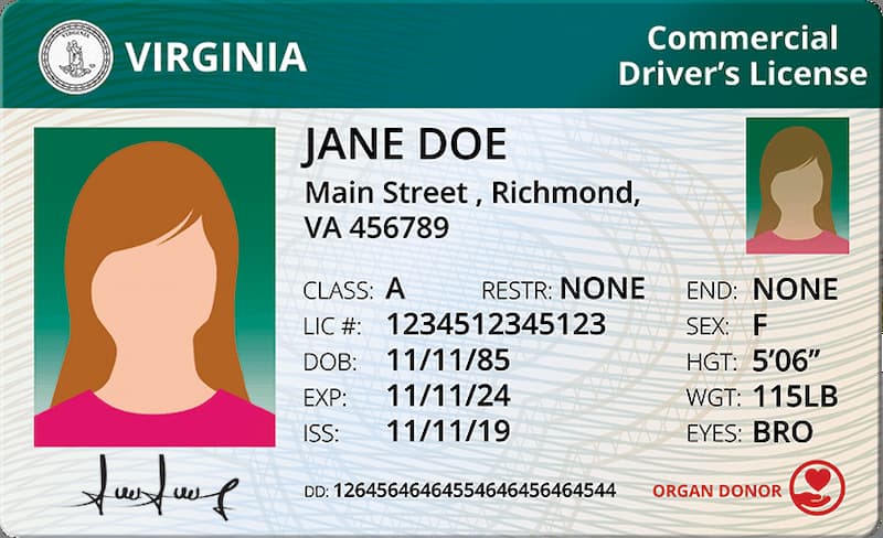 License status and administrative disqualifiers